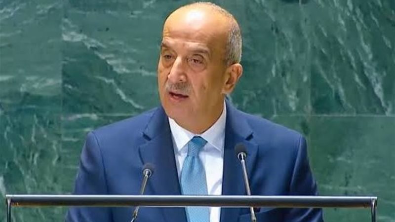 مندوب مصر بالامم