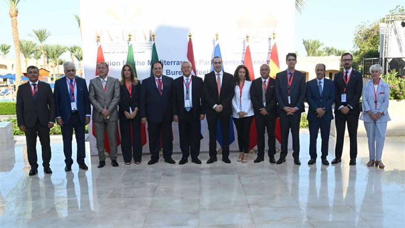 أنشطة الرئاسة المصرية