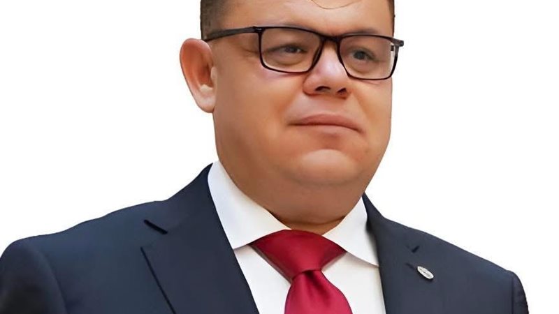المهندس محمد البديوي