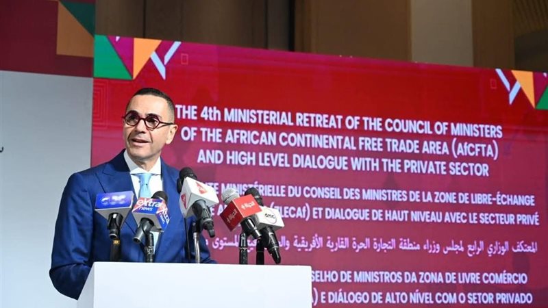 وزير الاستثمار