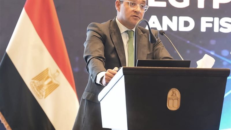 أحمد كجوك، وزير المالية