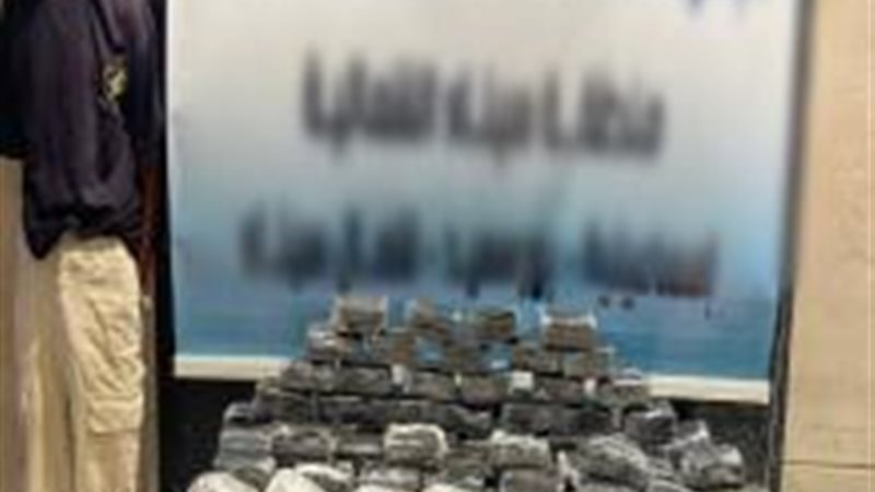 المضبوطات