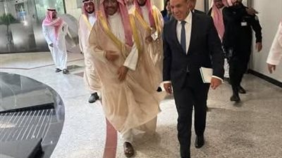 وزير الخارجية المصري يلتقي وزير الصناعة السعودي
