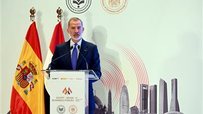 ملك أسبانيا: هناك شركات مصرية تعمل في أسبانيا ويمثل وجودها إسهامًا حاسمًا