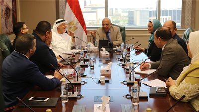 لاستقرار الشبكة الكهربائية.. مصر تتوسع في مشروعات تخزين الطاقة مع 