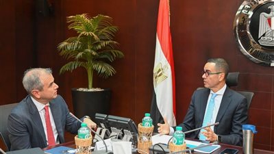 وزير الاستثمار: مصر تسعى للتوسع في إنتاج الكهرباء من مصادر جديدة ومتجددة