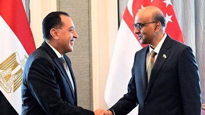 مدبولي: زيارة رئيس سنغافورة لمصر تحقق نقلة نوعية في العلاقات بين البلدين