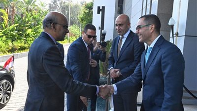 الرئيس السنغافوري: العلاقات بين مصر وسنغافورة تمثل أساسًا لشراكة استراتيجية شاملة