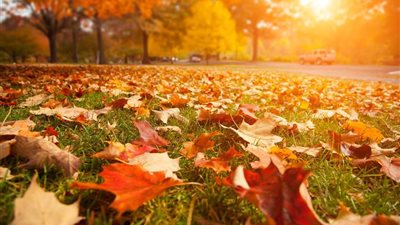 بداية الخريف.. الأرصاد تكشف توقعات حالة الطقس اليوم الإثنين 22 سبتمبر