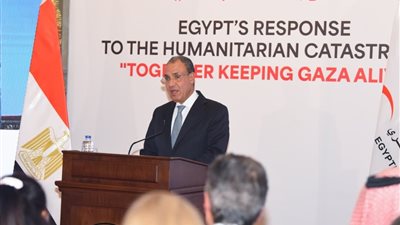 وزير الخارجية: ما يتعرض له قطاع غزة كارثة إنسانية ويرقى إلى حد جرائم الإبادة