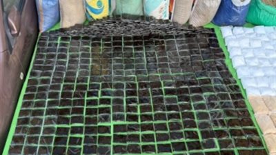 ضبط طن و212 كيلو مخدرات بـ125 مليون جنيه.. 