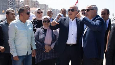 وزير الري يتفقد أعمال حماية شواطئ الإسكندرية ويؤكد استعادة الشواطئ المفقودة