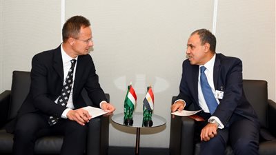 وزير الخارجية يبحث مع نظيره المجري تعزيز العلاقات ويدعو لوقف الحرب في غزة