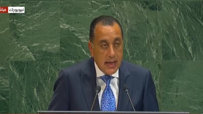  رئيس الوزراء: حل الدولتين يعد ضرورة أمنية والطريق الوحيد لضمان شرق أوسط آمن 