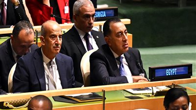 وزير الخارجية: مؤتمر حل الدولتين جاء في ظل ظروف شديدة الكارثية في قطاع غزة