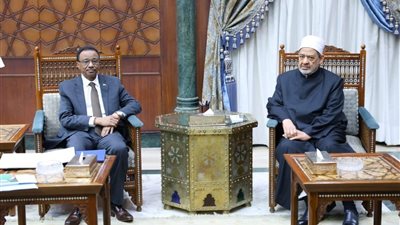 شيخ الأزهر: حريصون على دعم السودان في المجالات الدعوية والتعليمية والبحثية