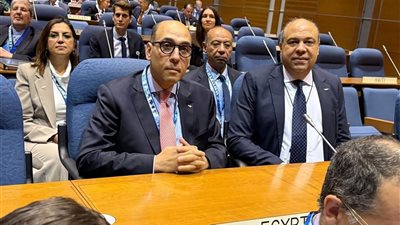وزير الطيران يؤكد دور مصر القيادي في الإيكاو