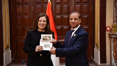 نائبة بالشيوخ: تشريعات المرحلة المقبلة ستواكب توجهات الدولة في بناء الإنسان المصري