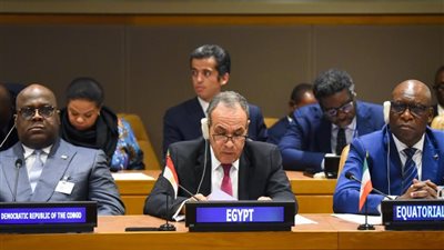 وزير الخارجية يدعو أفريقيا لرفض محاولات تهجير الفلسطينيين