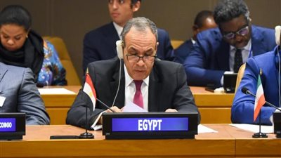 وزير الخارجية: لا أمن ولا استقرار دون حل عادل وشامل للقضية الفلسطينية