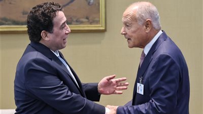 أبو الغيط يؤكد دعم الجهود المبذولة لتوحيد المؤسسات الليبية