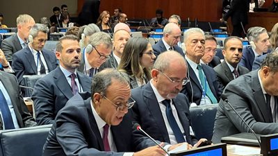 وزير الخارجية: لا سلام دون دولة فلسطينية.. ومصر تدعو لوقف فوري للنار وإعمار غزة