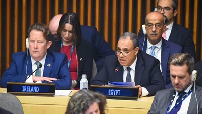 وزير الخارجية: ضعف النظام متعدد الأطراف يحد من قدرة النظام الاقتصادي العالمي 