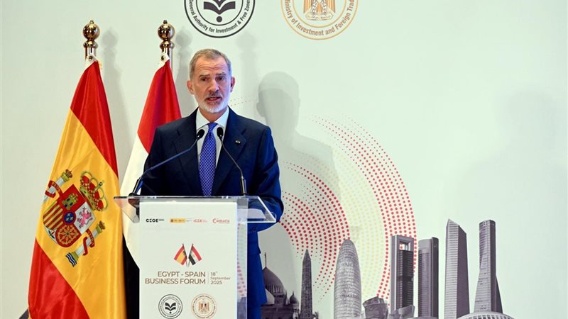 الملك فيليبي السادس