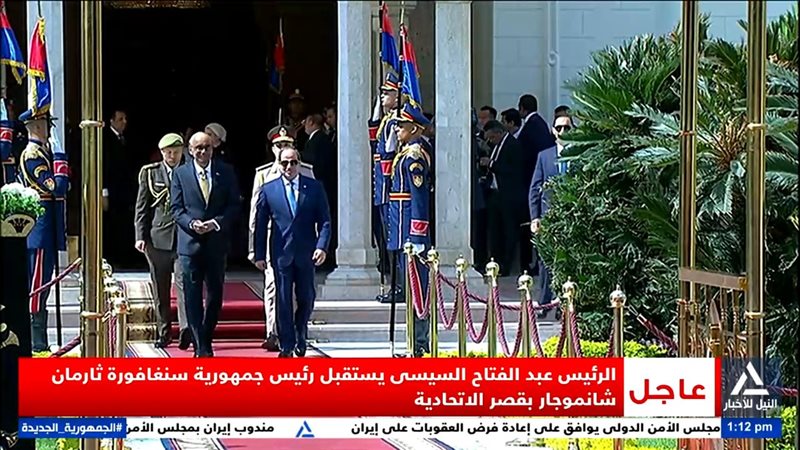 السيسي ورئيس سنغافورة