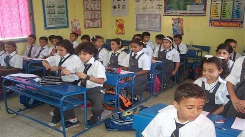 تفصيلة