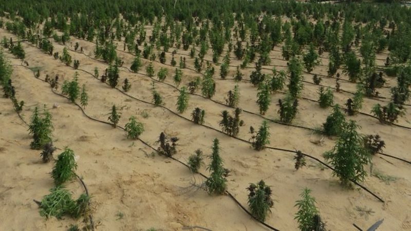 الداخلية تداهم أوكار