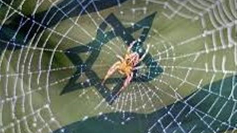 بيت العنكبوت المخفي