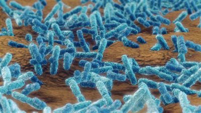 ارتفاع مقلق في حالات 