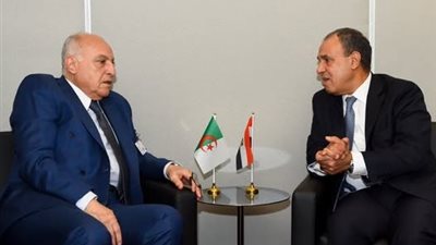 القاهرة والجزائر تبحثان في نيويورك تعزيز التعاون ومواجهة التحديات الإقليمية