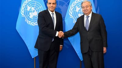 لإنهاء الحرب على غزة.. تفاصيل لقاء وزير الخارجية مع السكرتير العام للأمم المتحدة