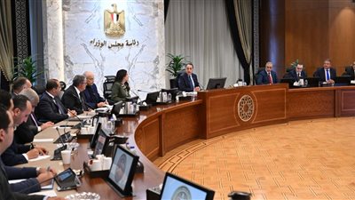 مدبولي يتابع مخرجات لجنة 