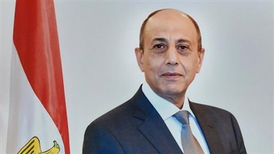 عبدالسند يمامة يهنئ الفريق محمد عباس حلمي بتوليه منصب رئيس حزب حماة وطن