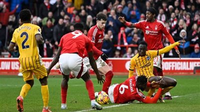 المدير الفني لـ