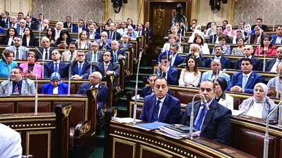 من حرمة المساكن إلى بدائل الحبس الاحتياطي.. تفاصيل اعتراض الرئيس على قانون الإجراءات الجنائية