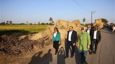 التنمية المحلية: الإسراع في جمع قش الأرز للاستفادة منه وإنهاء ظاهرة الحرق