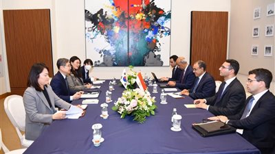 وزير الخارجية يبحث مع نظيرته الكورية تعزيز التعاون ودعم القضية الفلسطينية