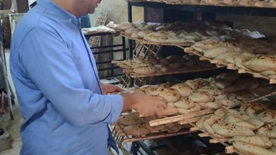 ضبط 256 مخالفة تموينية بالمنيا بينها 239 بالمخابز البلدية