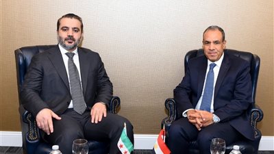 مصر تؤكد دعمها لوحدة سوريا خلال لقاء وزيري الخارجية في نيويورك