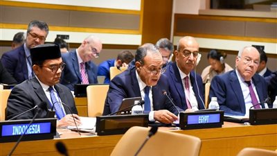 مصر تشارك في اجتماع وزراء خارجية البريكس وتؤكد دعمها للتنمية العادلة وحل الدولتين