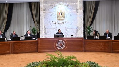 مدبولي يتابع موقف برنامج الطروحات الحكومية ويوجه بالإسراع في طرح عدد من الشركات 