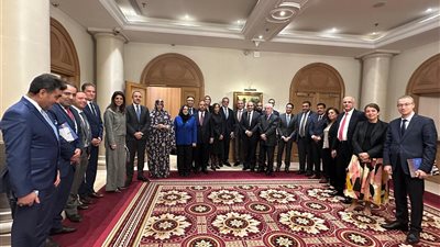 وزير الخارجية يبحث دعم ترشيح خالد العناني لليونسكو مع السفراء العرب بباريس