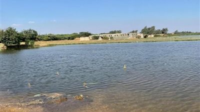 استعداد الحكومة لمواجهة فيضانات النيل وحماية المتضررين.. طلب إحاطة عاجل بالبرلمان