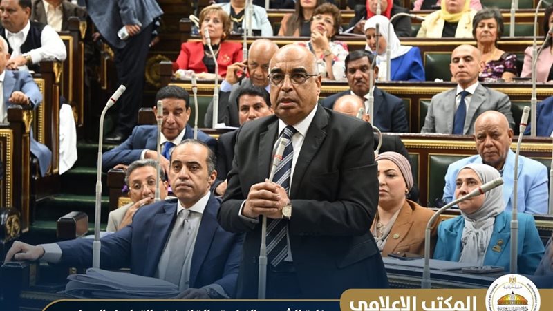 جانب من الجلسة العامة