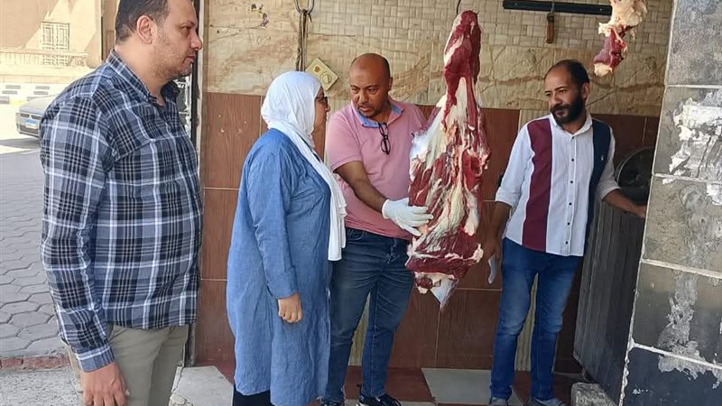تموين المنيا