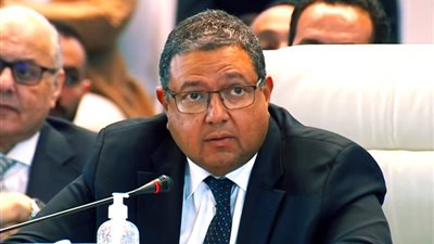 زياد بهاء الدين: المنافسة بين شركات الدولة والقطاع الخاص يجب أن تكون متساوية 